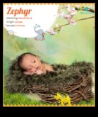 Zen Zephyr Huzurlu ve Dingin Bir Yaşam İçin Bebek İsimleri